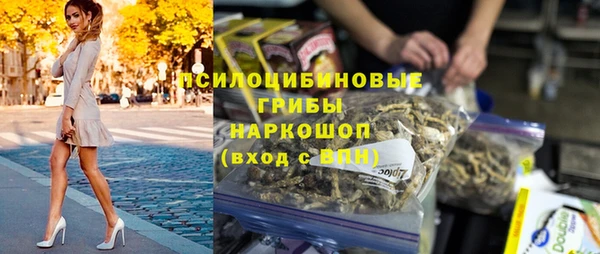 spice Нея