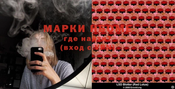 спайс Аша